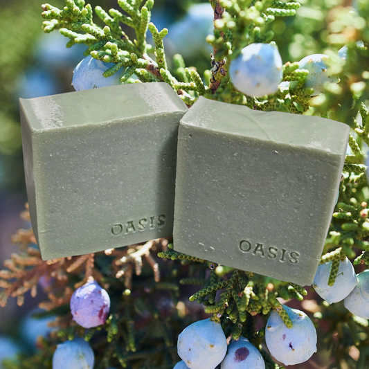 Artic Juniper